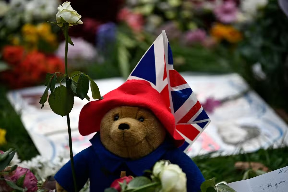 teddy and sandwiches