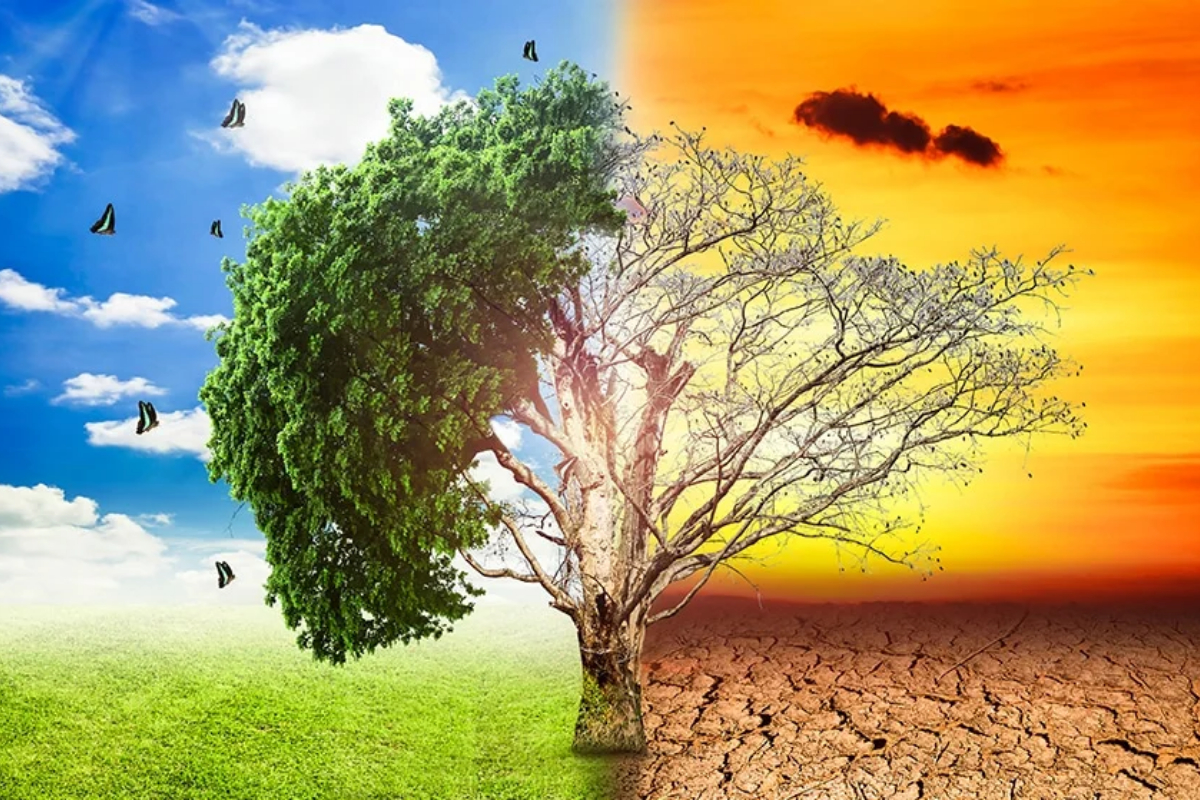 climate actions