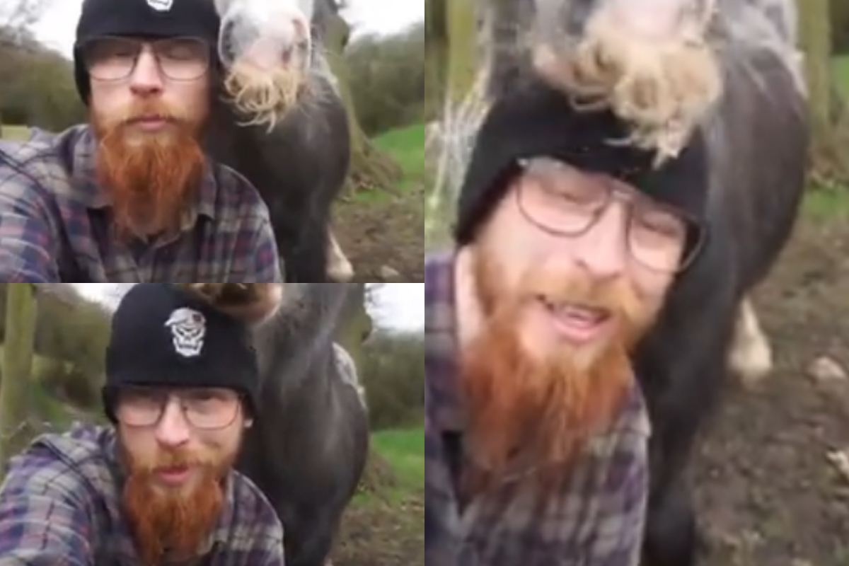 man cuddling horse