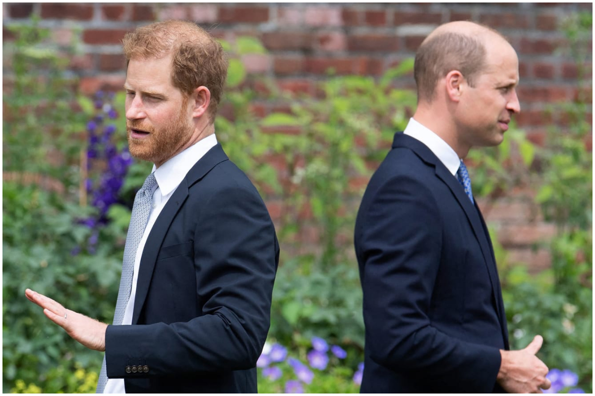 Prince Harry and Prince William