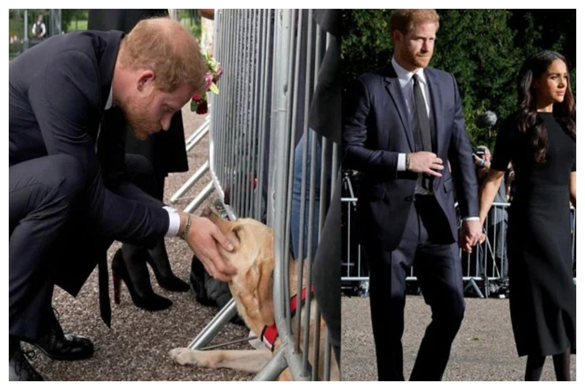 Prince Harry