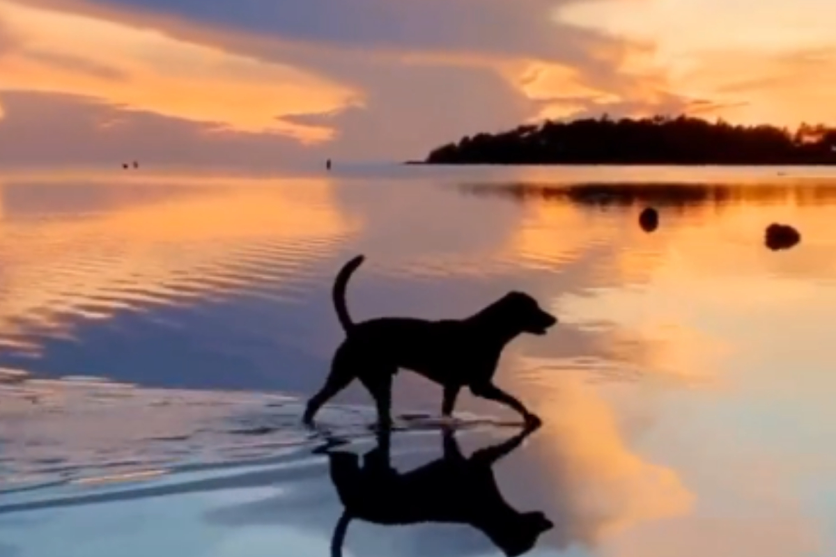 soothe your soul