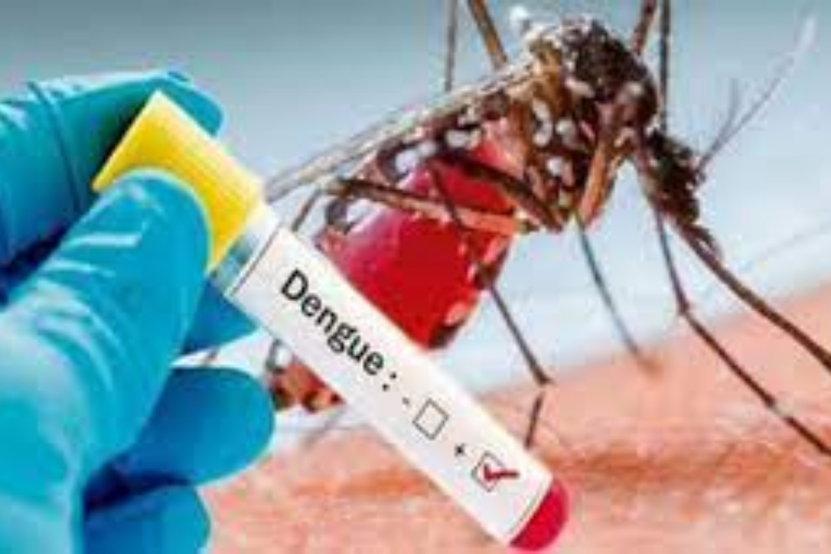 Dengue cases continue