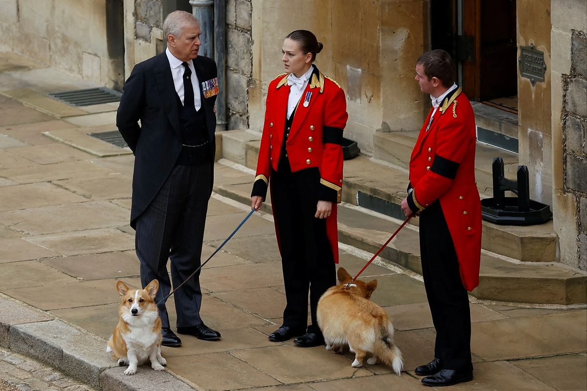 Prince Andrew