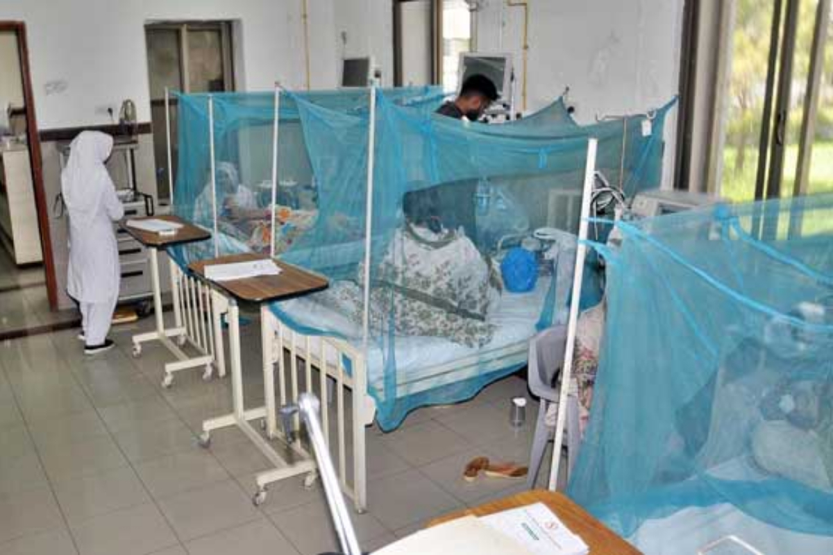 Dengue fever claims