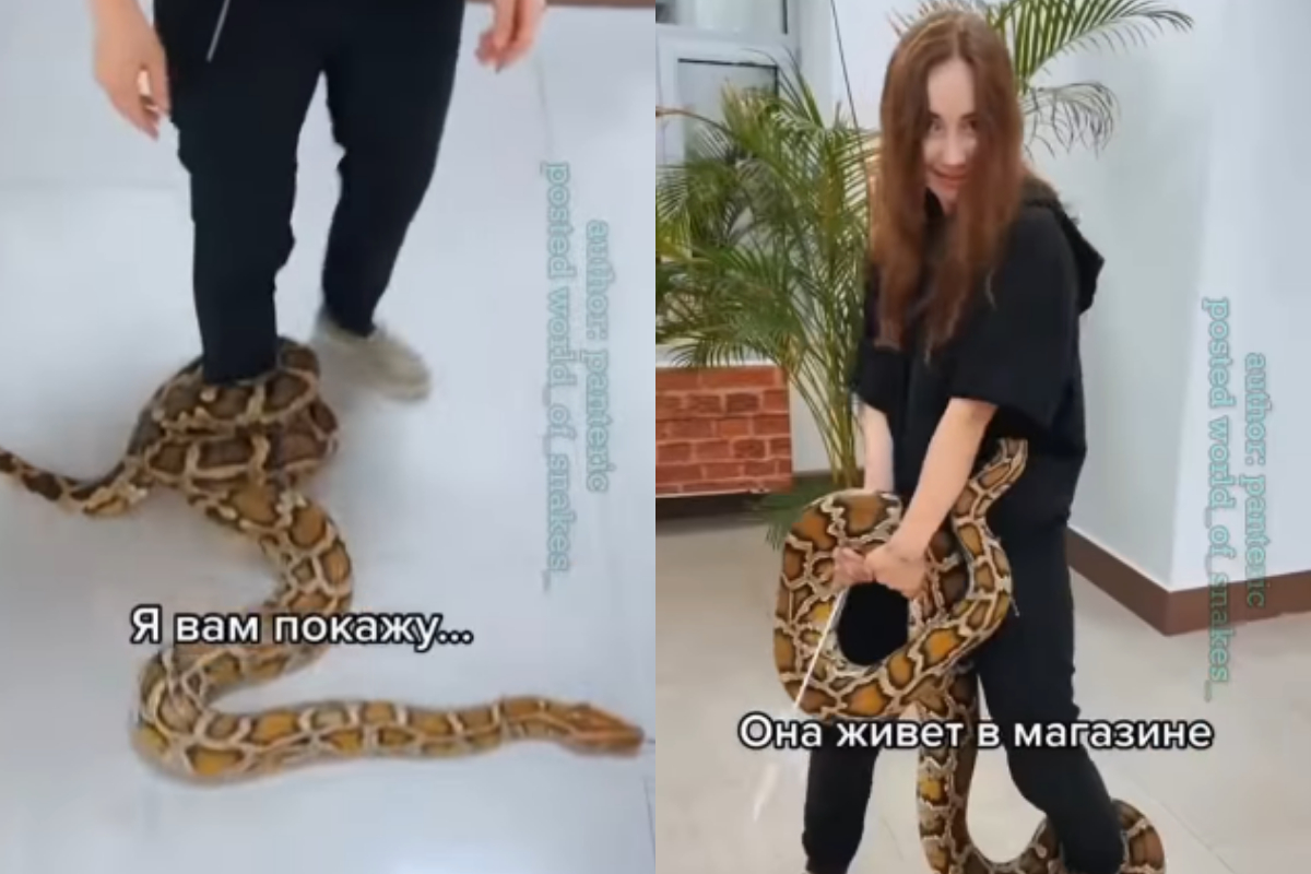 Python