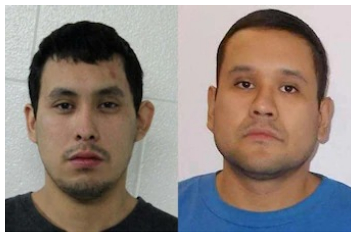 Mass stabbing suspects