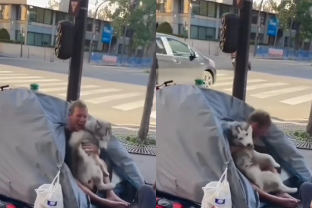 Dog making kind gesture