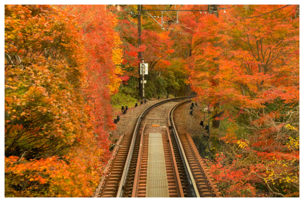 Train ride in Japan