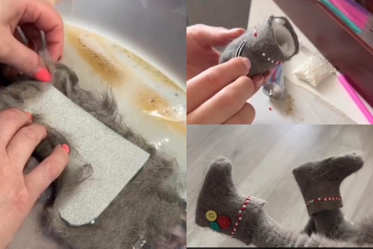 boots for cat