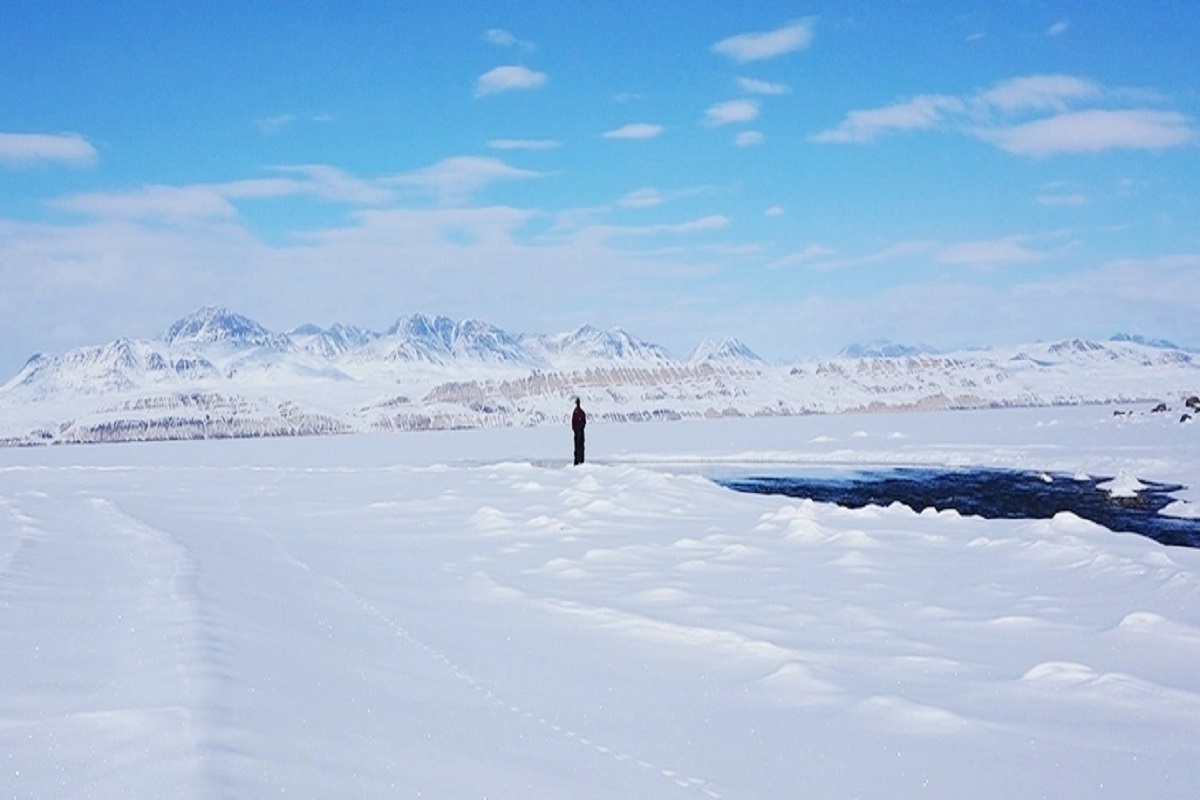 arctic