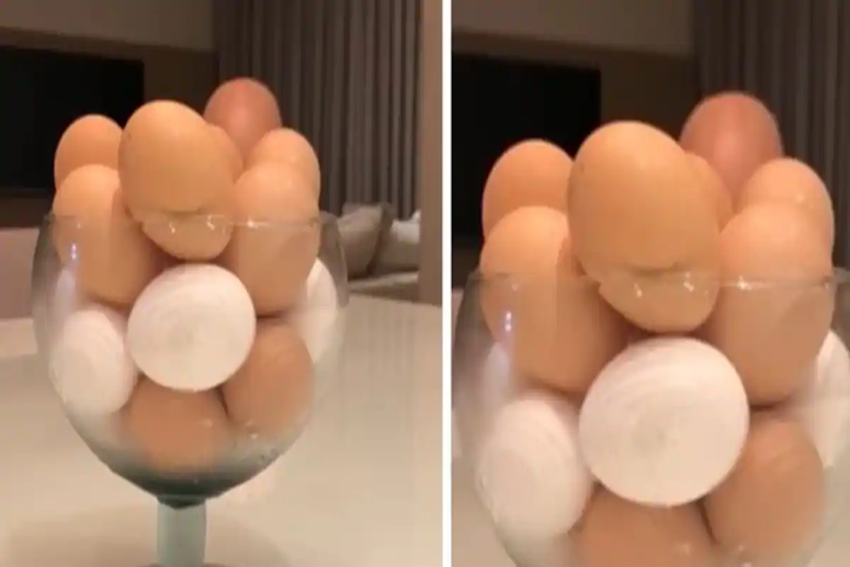 eggs video