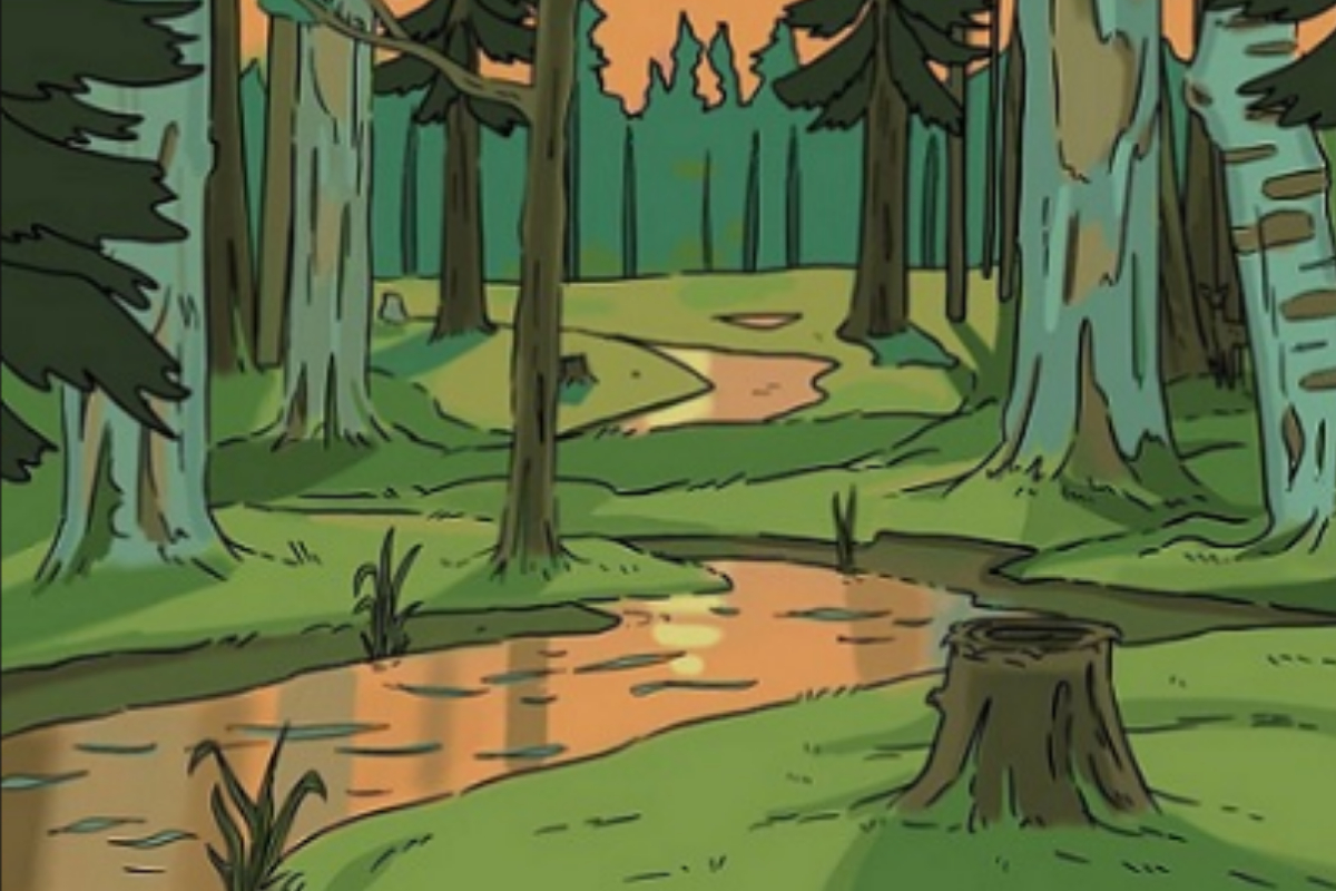 Forest Picture