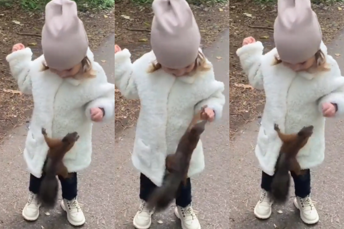 little girl feeds squirrel
