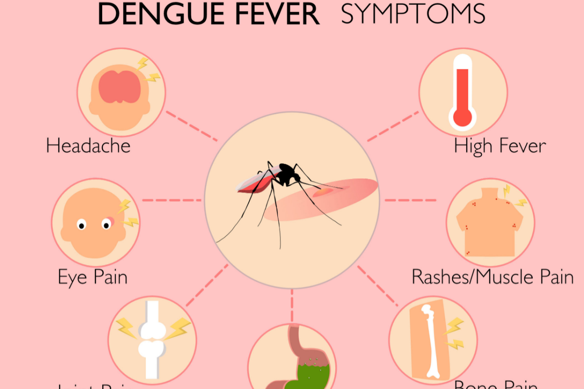 Dengue claims