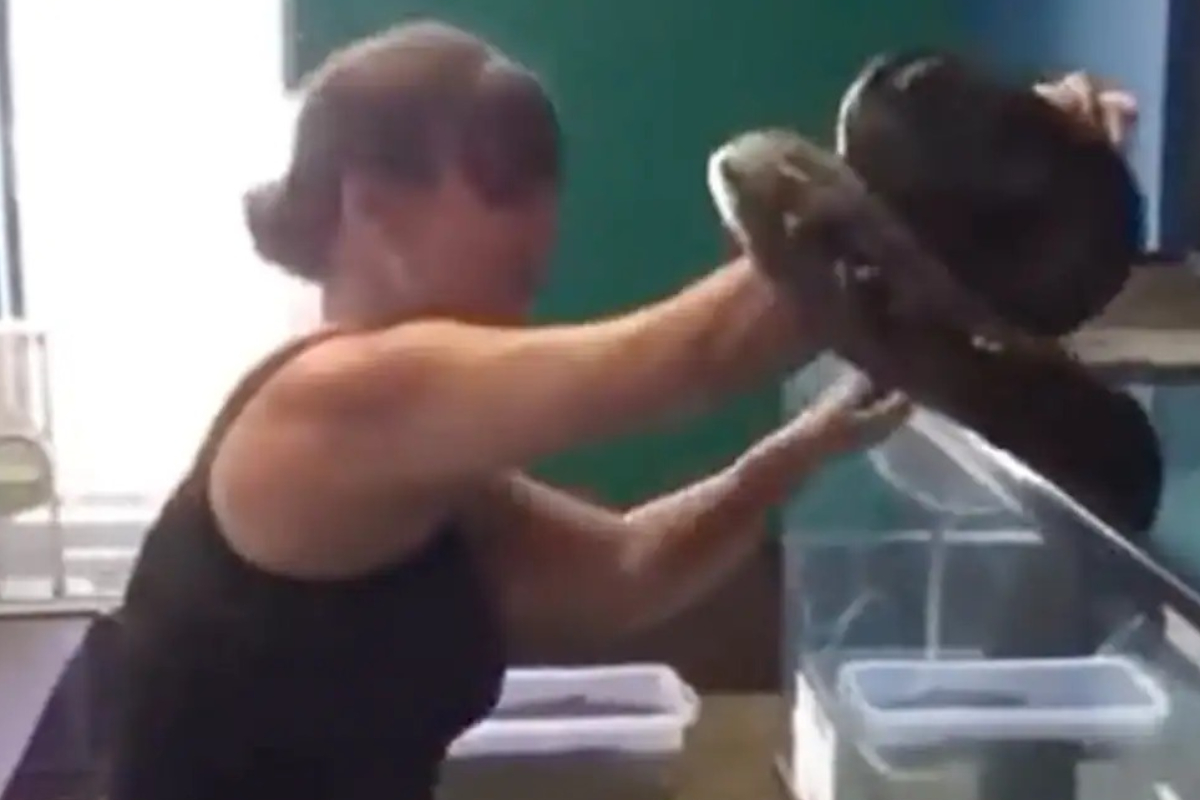 Pet Snake Attacks