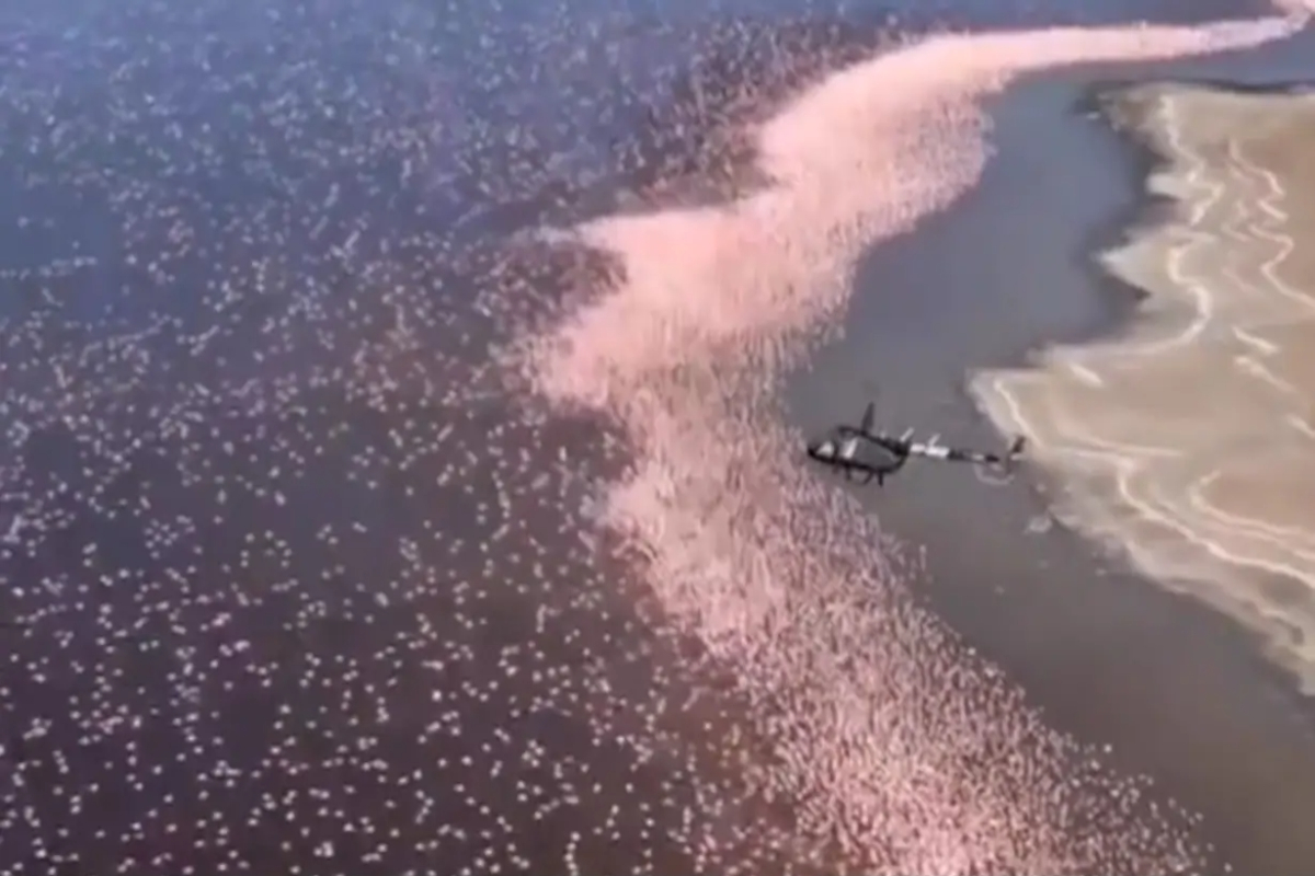 Mesmerizing footage