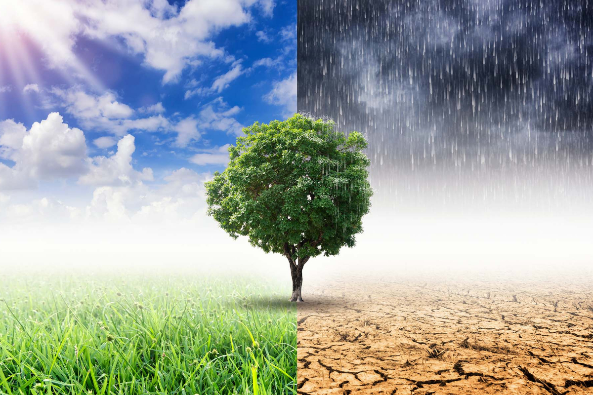 climate risks