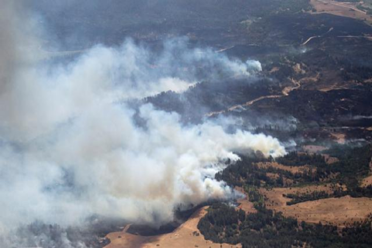 wildfire