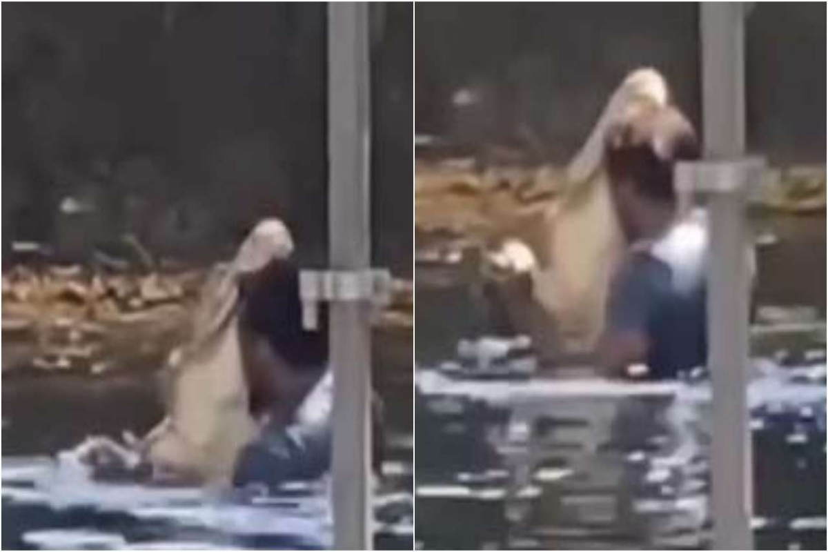 man dancing in a pond
