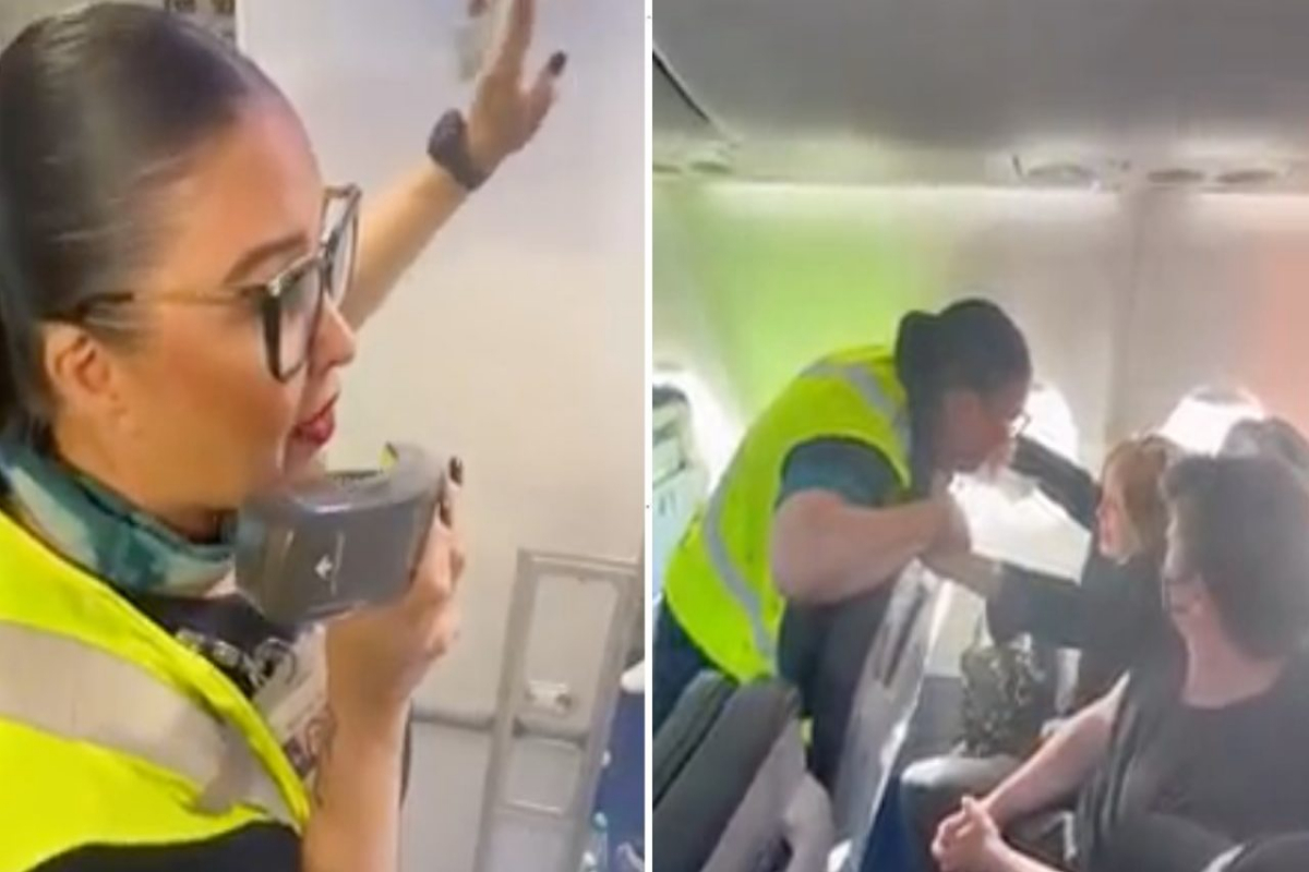Flight attendant