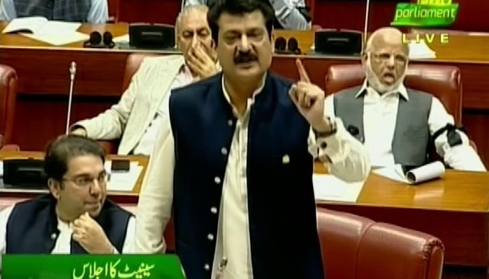 PTI senators protest