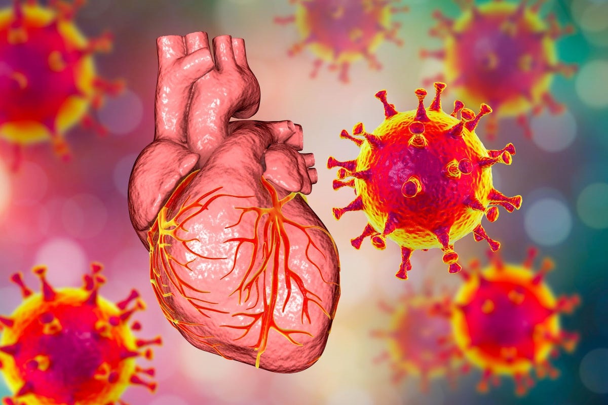 Cardiovascular diseases
