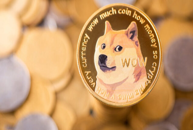 Doge Price