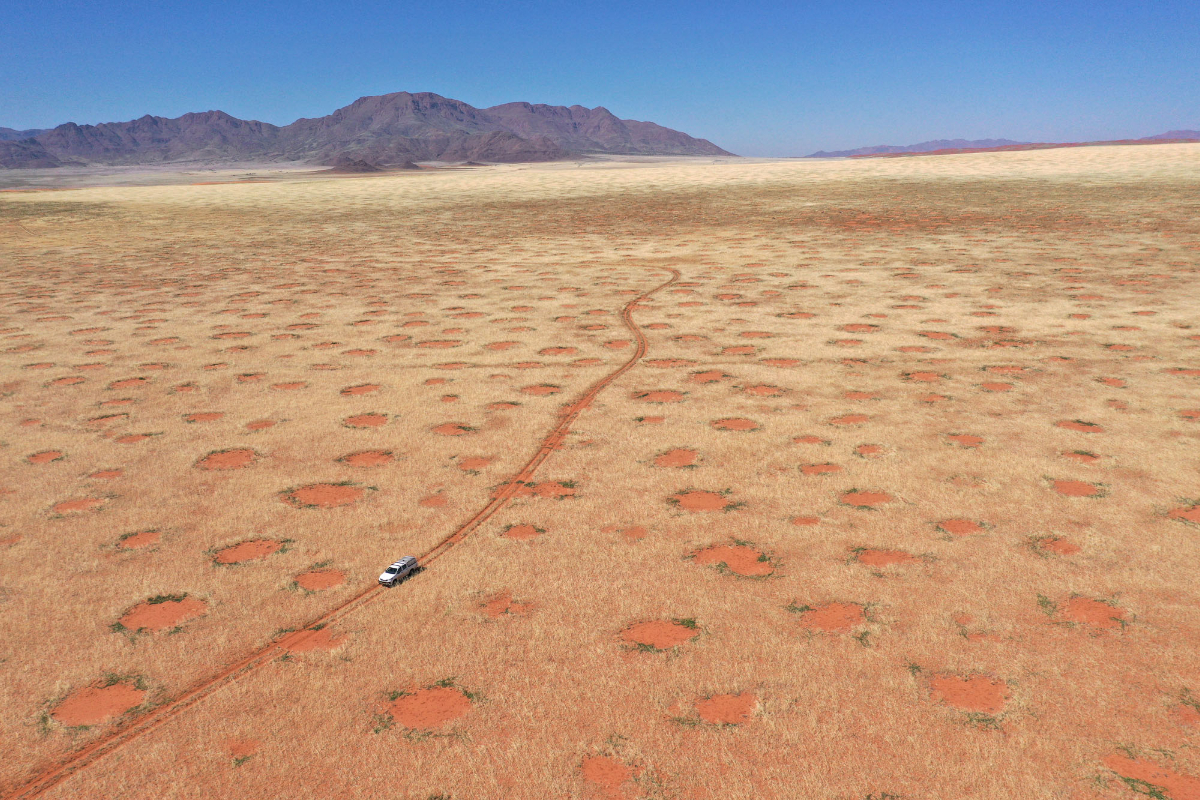 Namib desert's