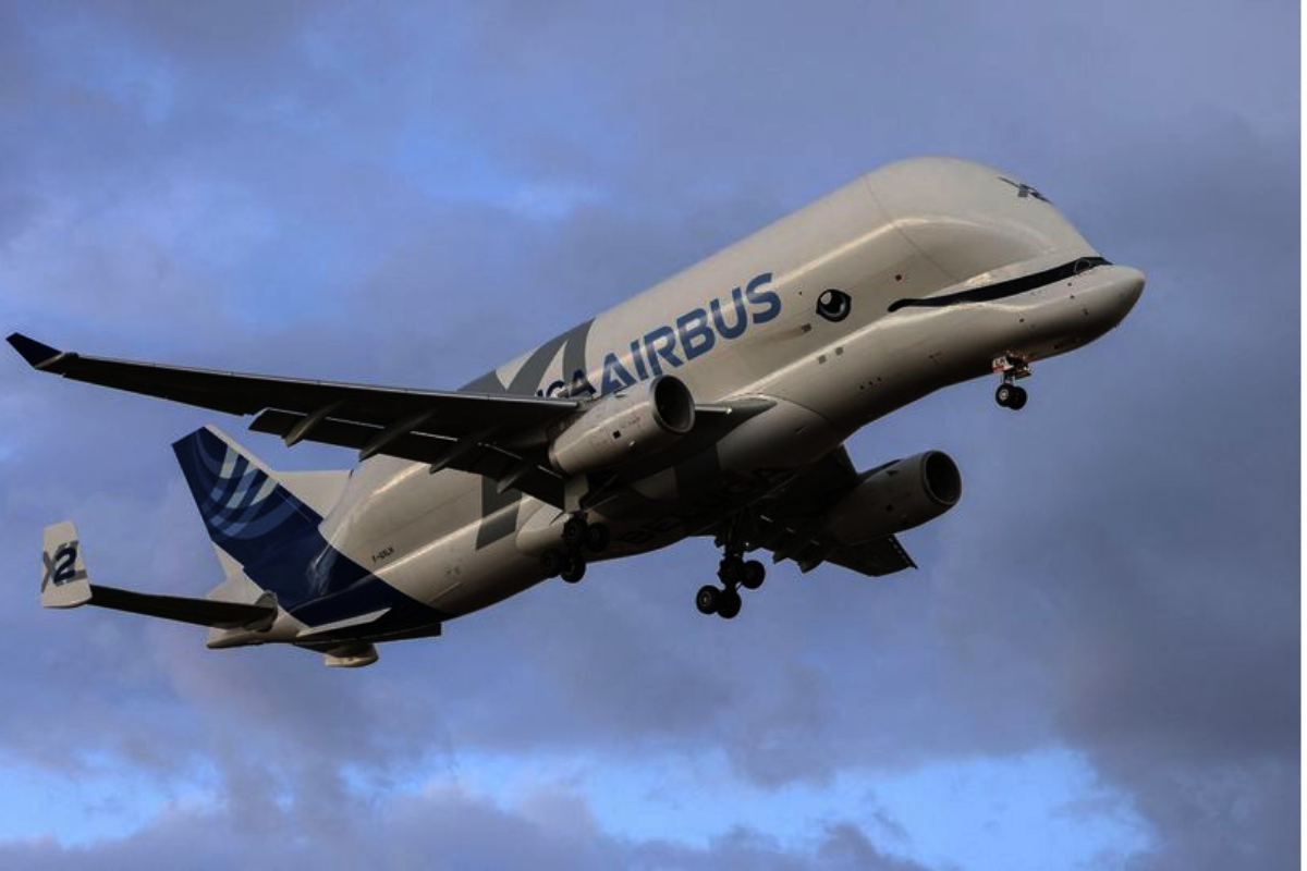 Beluga XL5