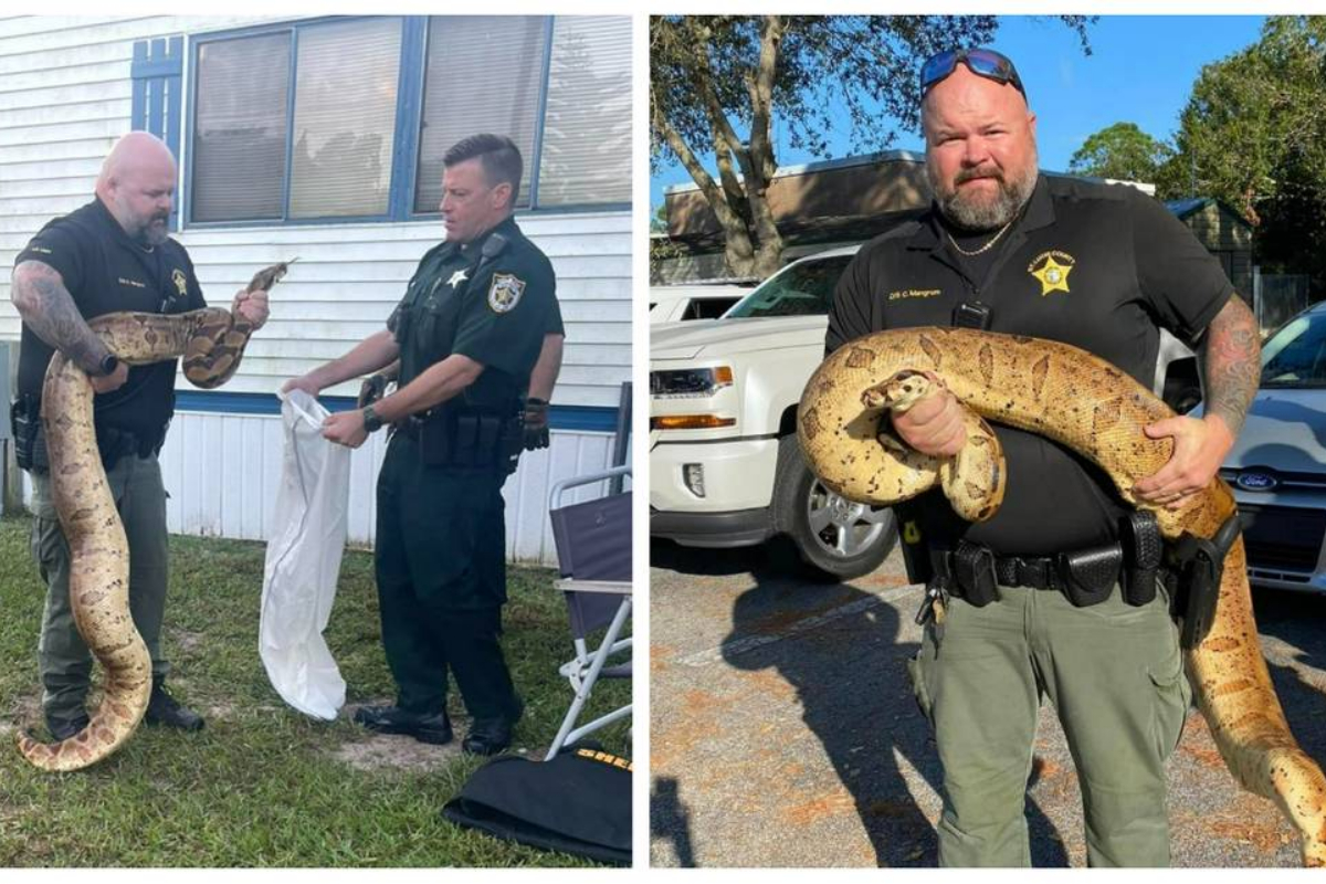 Florida police officer