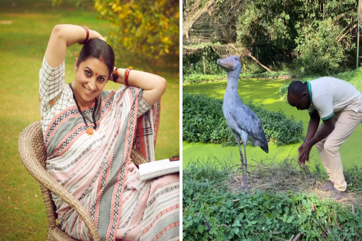 Smriti Irani