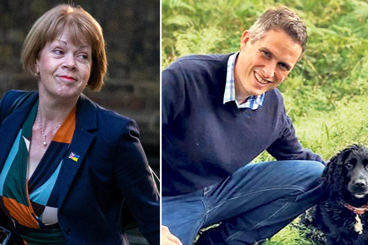 Williamson's texts were unacceptable, says minister