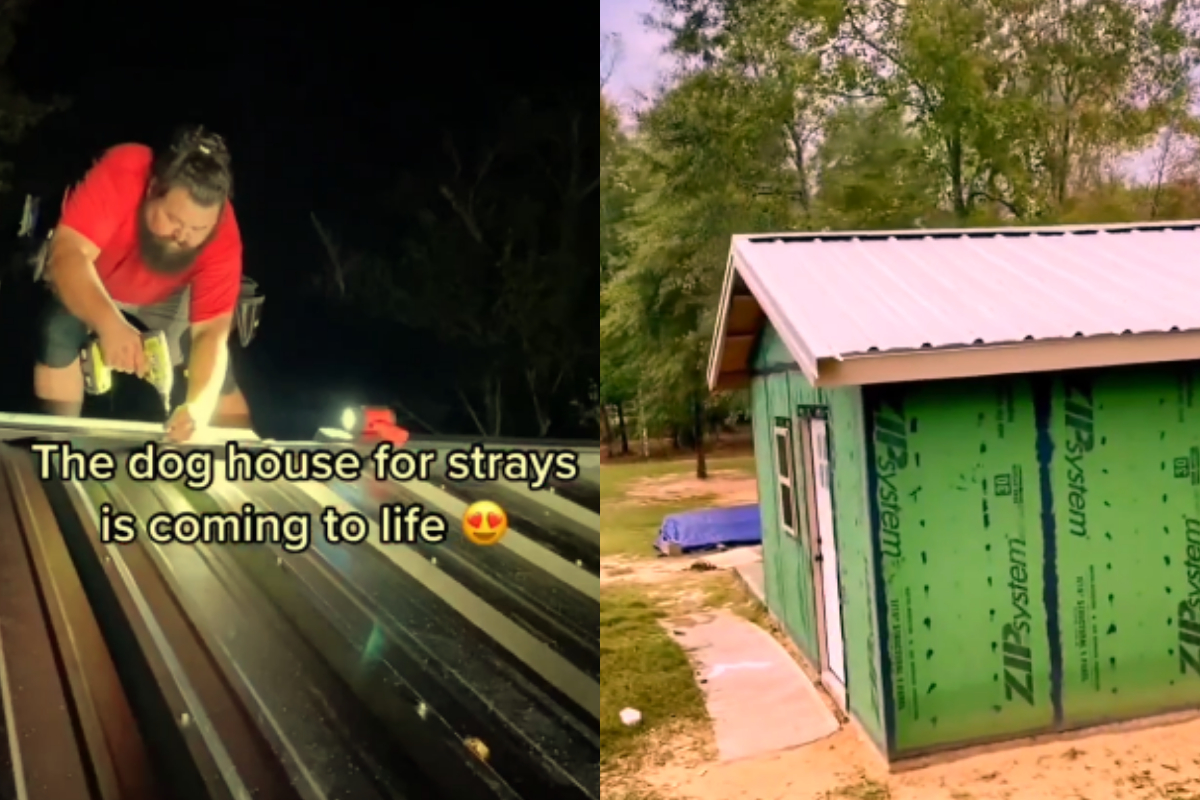 Man builds dog shelter