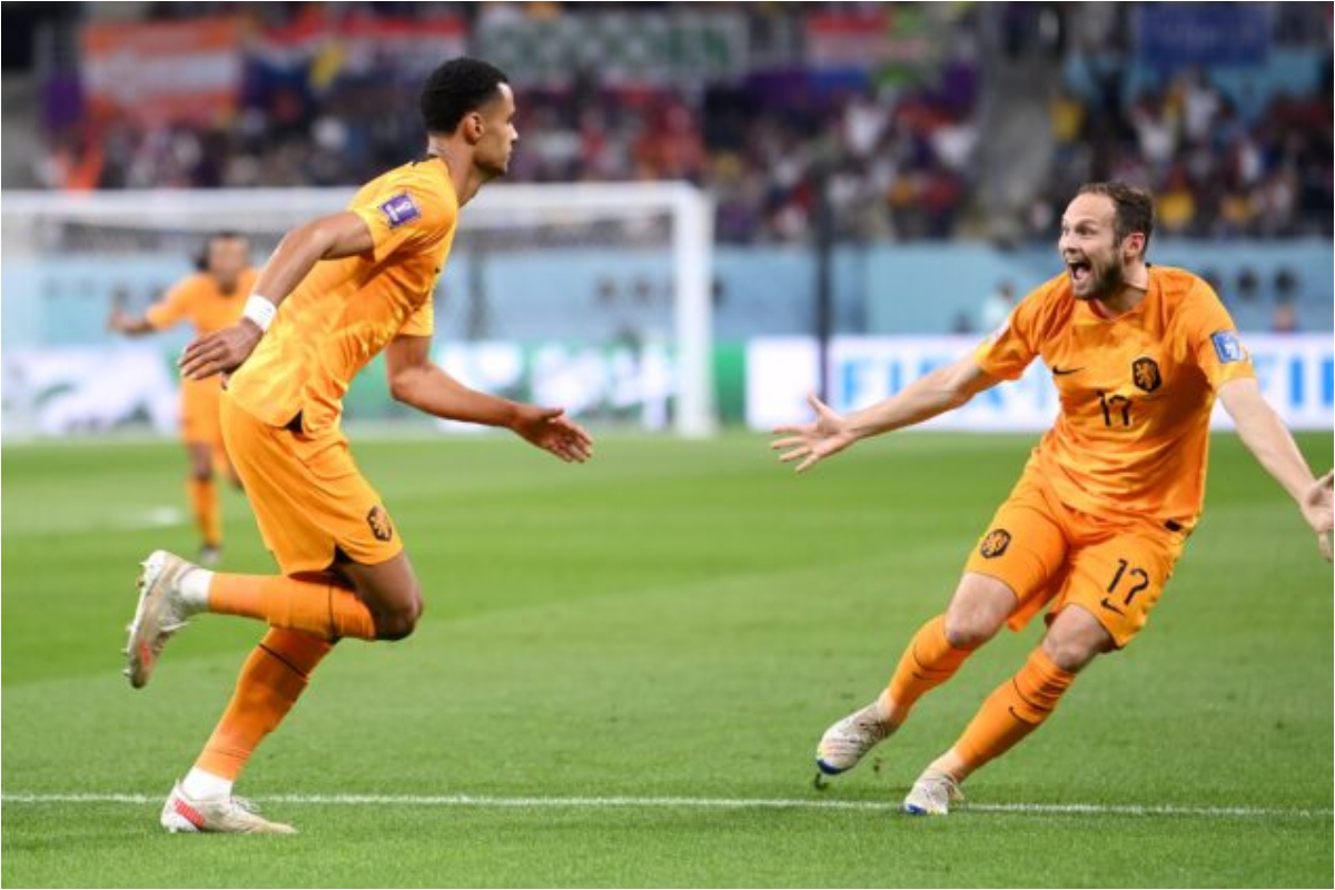 Netherlands vs Qatar Full Highlights