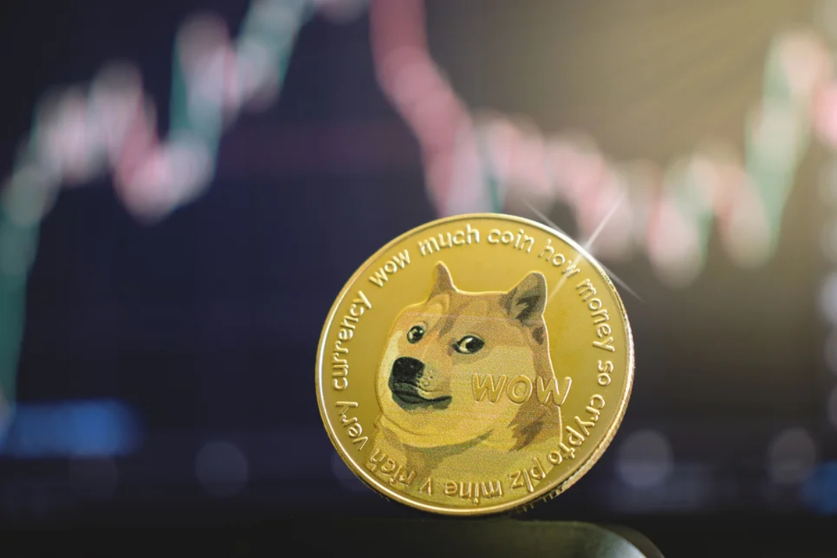 Doge Price