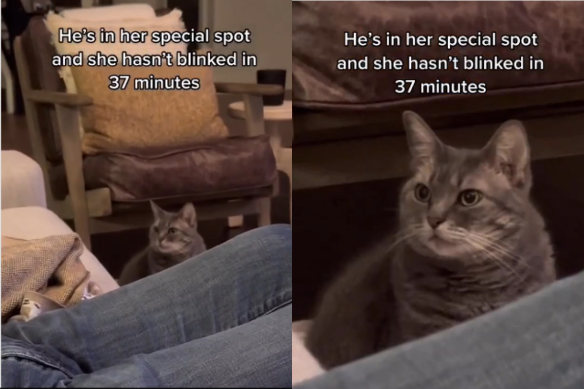 Big Bang Theory