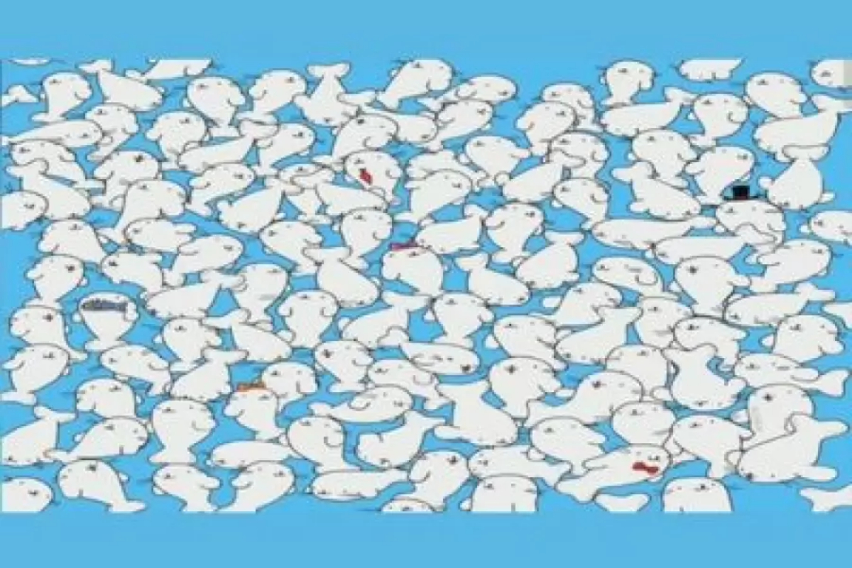 Optical Illusion
