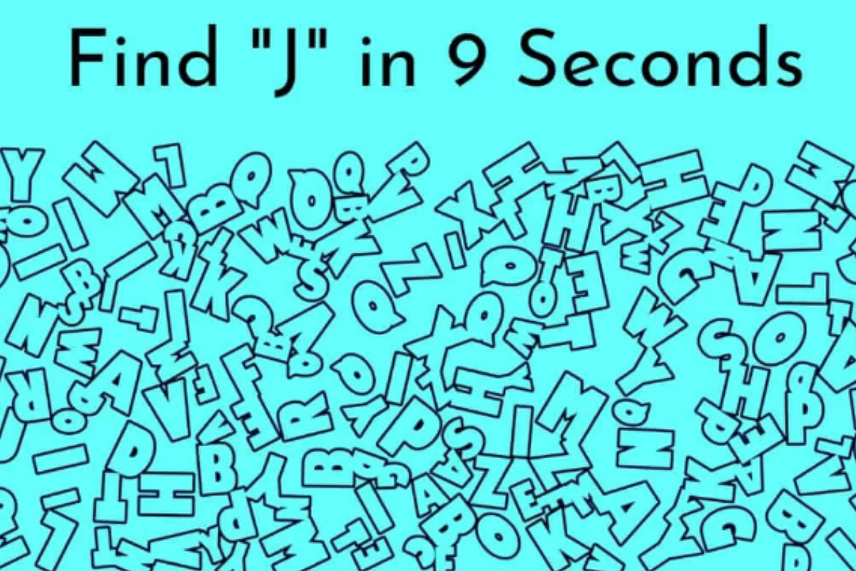 Seek and Find