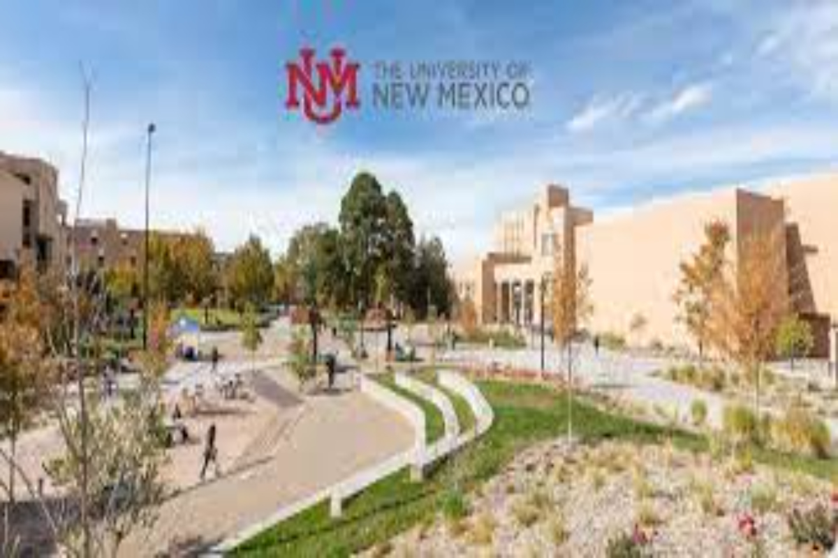 University of new mexico