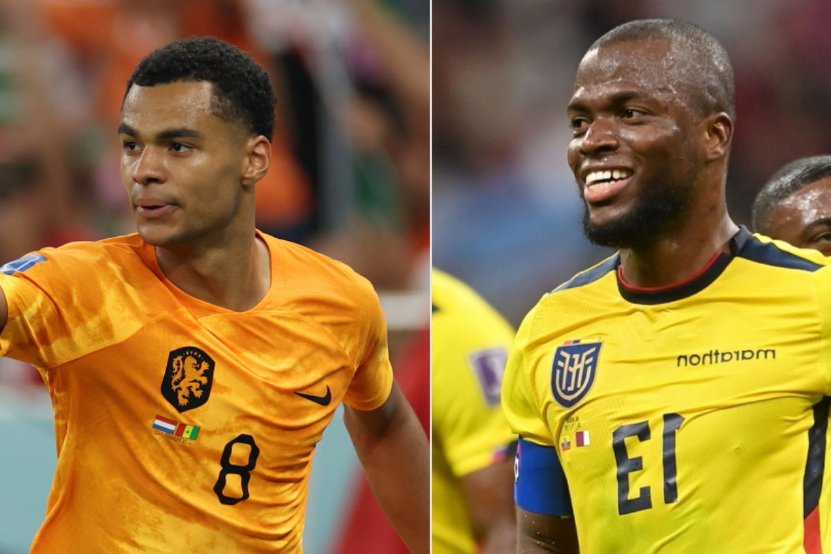 FIFA World Cup 2022 Live Score: Netherlands vs Ecuador Live score