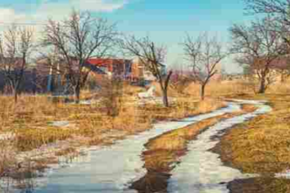 beautiful white horse