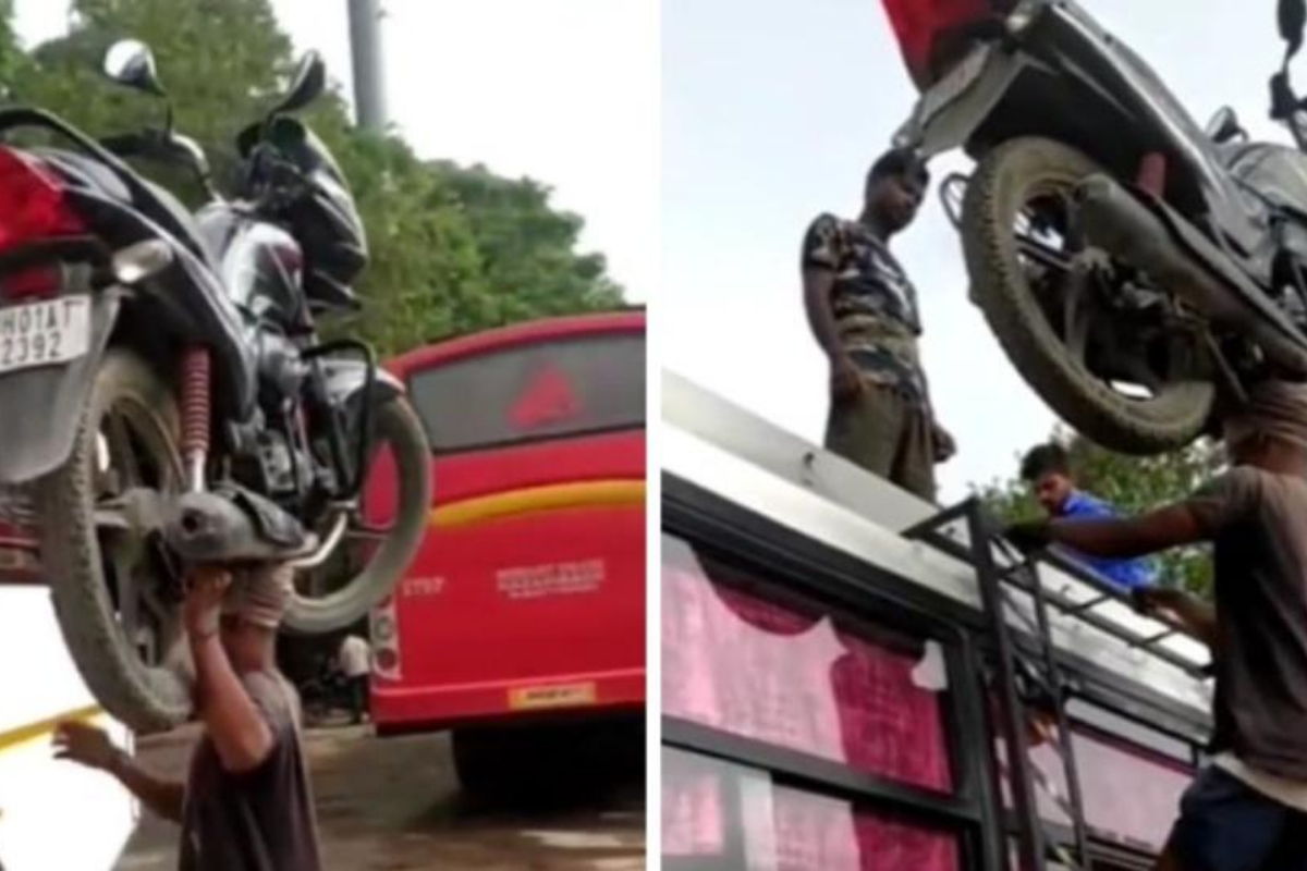 bus-ladder-climbing
