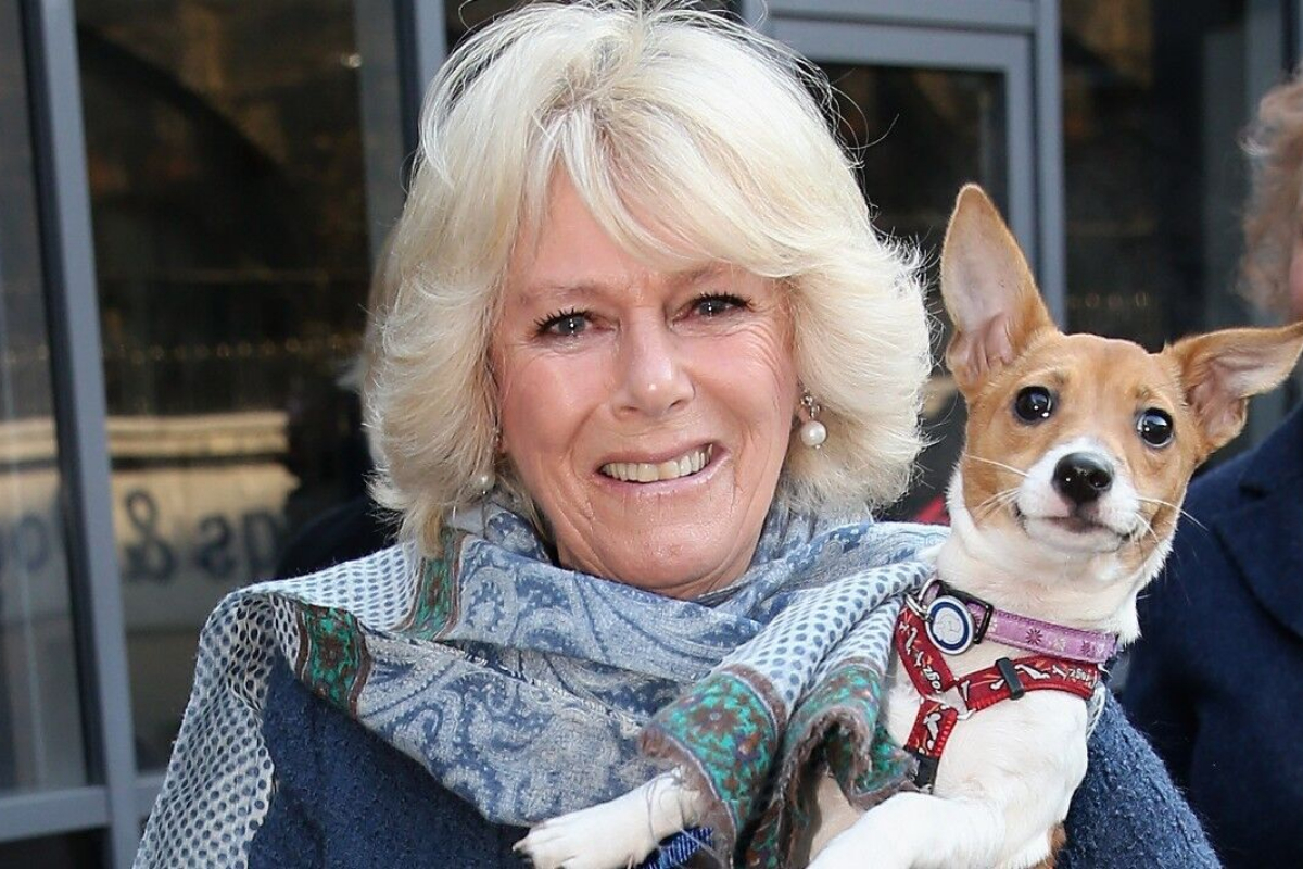 Camilla says she can't imagine living without dogs