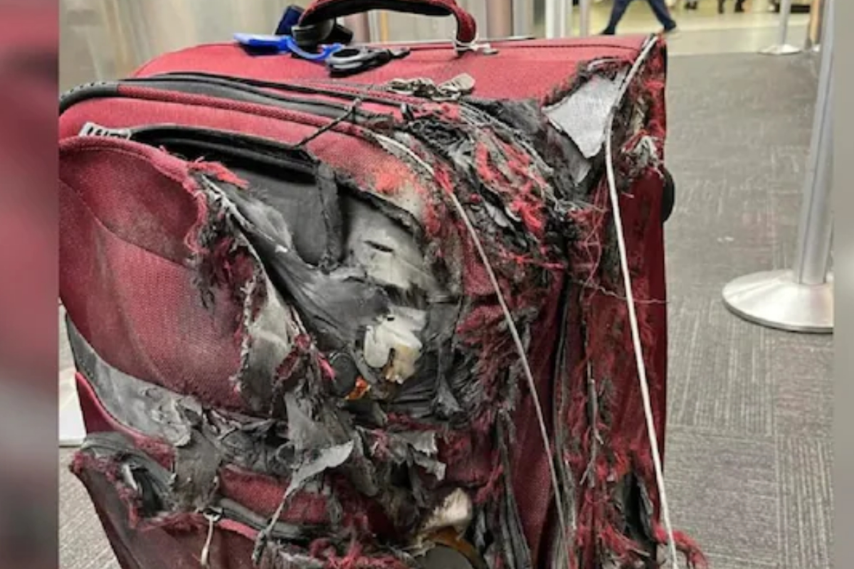 passenger's suitcase