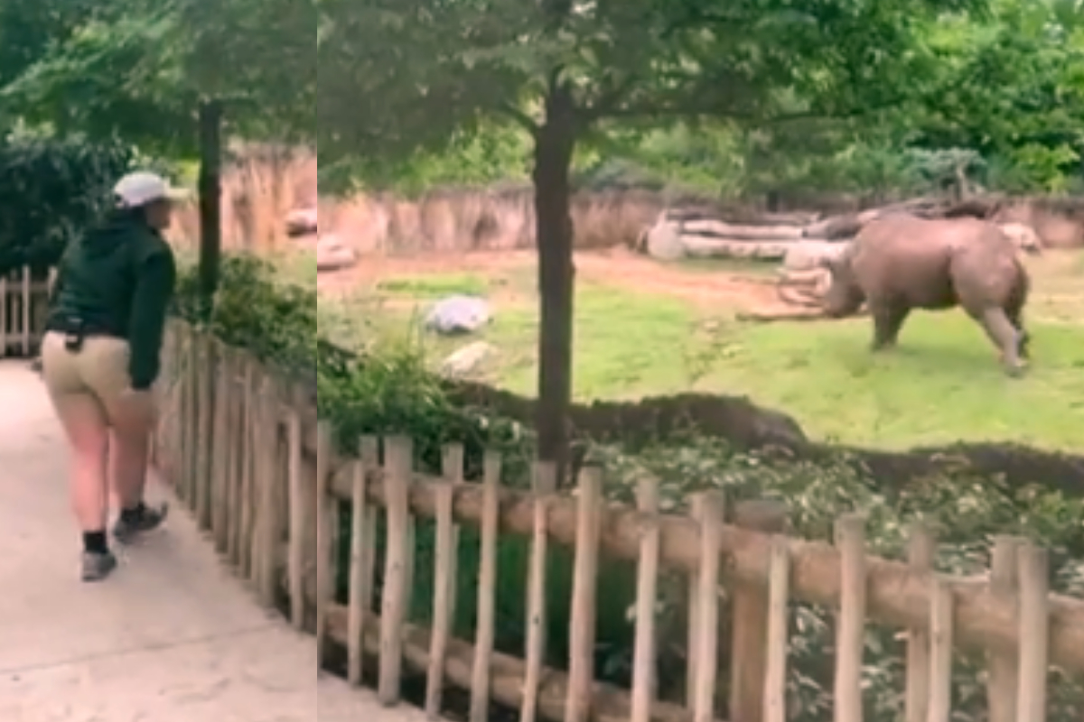 Hippo reactions to keepe