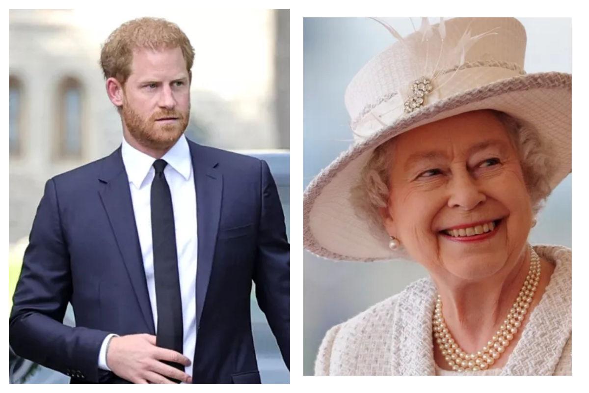 Prince Harry gives Queen Elizabeth a whole chapter