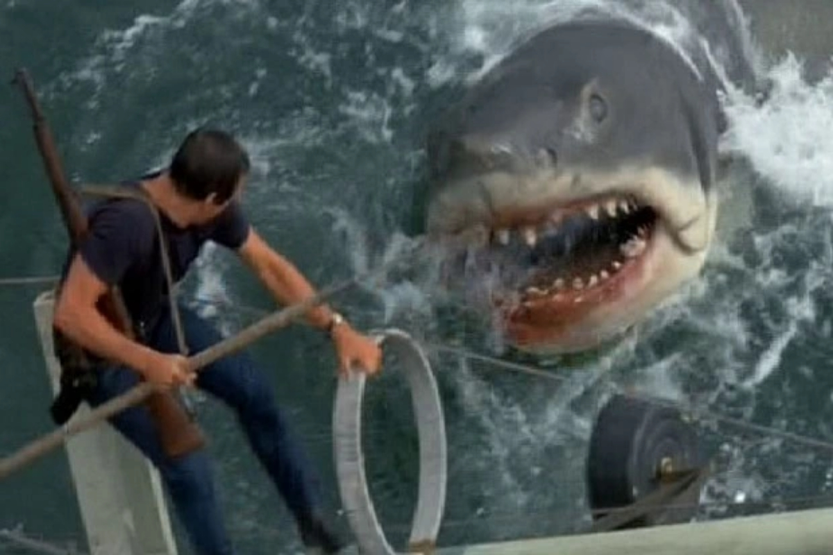 Jaws