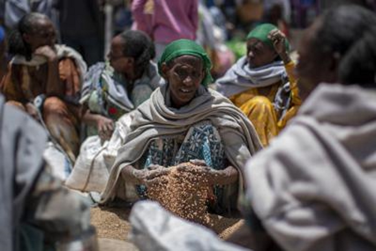 tigray