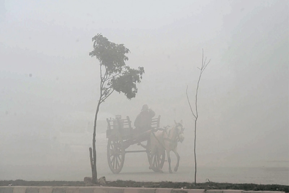 dense fog